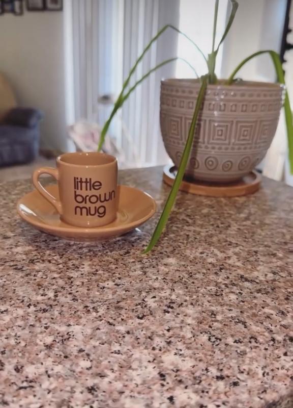 Little Brown Mug - 100% Exclusive