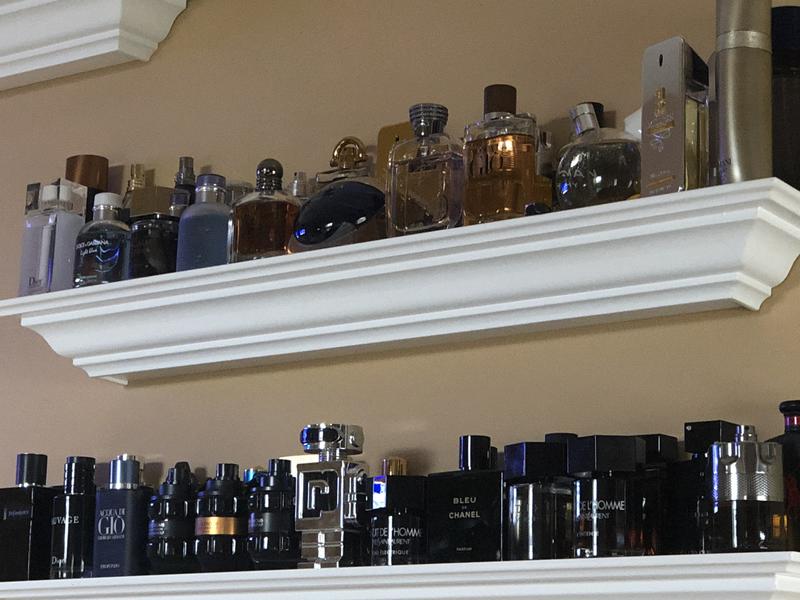 Stands out from the pack