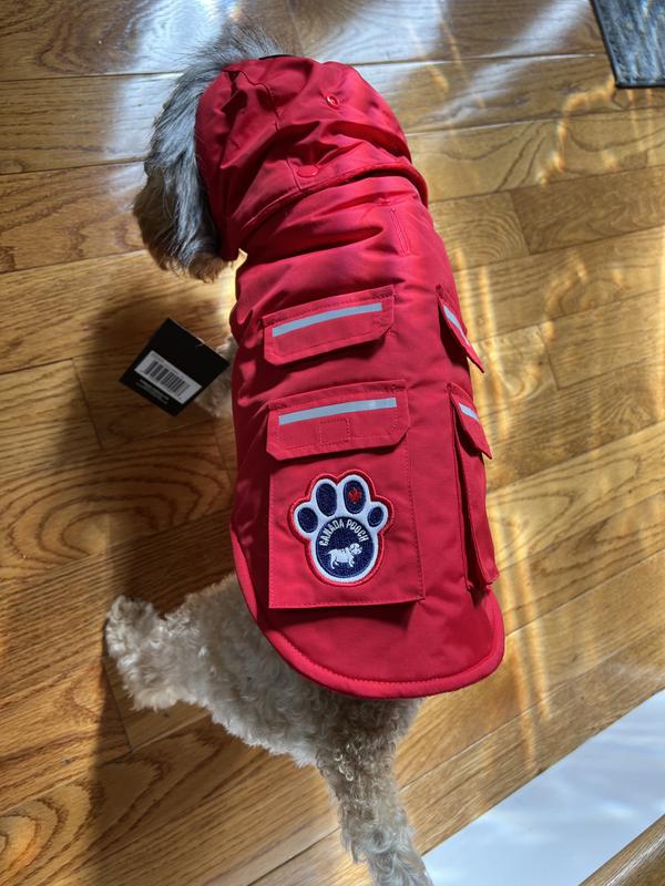 Canada pooch hotsell everest explorer jacket