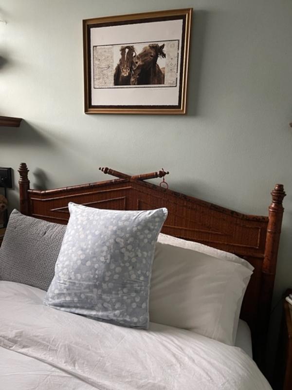 Photo from Kristin in Brooklyn