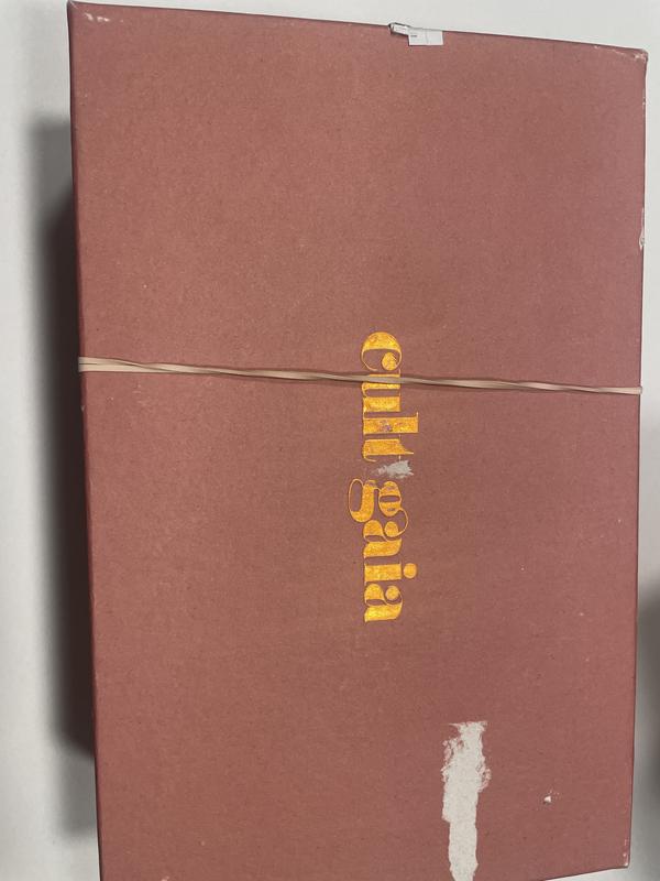 The box the shoes came in