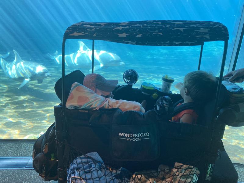 Seaworld trip in W2