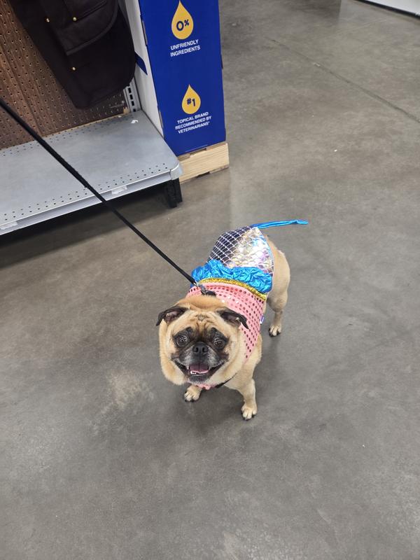 Gia as a mermaid for Halloween