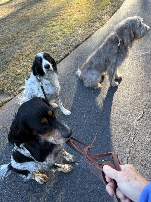 All three love this product.