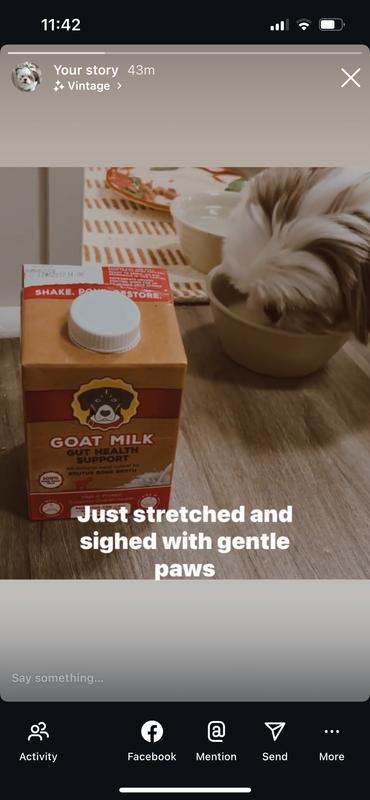 Rubyroo loves goatmilk by brutus broth. must_love_dogs_316