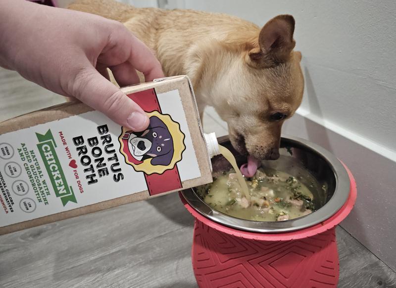 Brutus Bone Broth for Dogs Chicken Dog Food Topper Gravy BrutusBroth