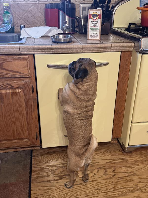 Would you hurry that up please!!