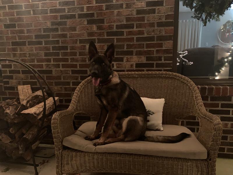 Benjamin’s first Christmas 🎄