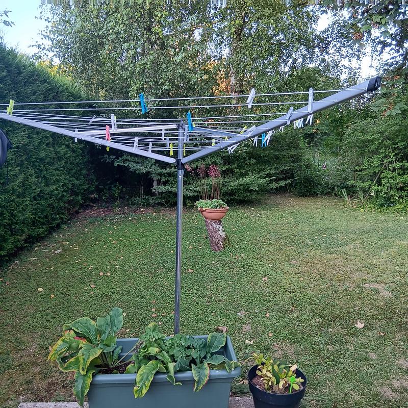 Photo - commentaire&nbsp;2.