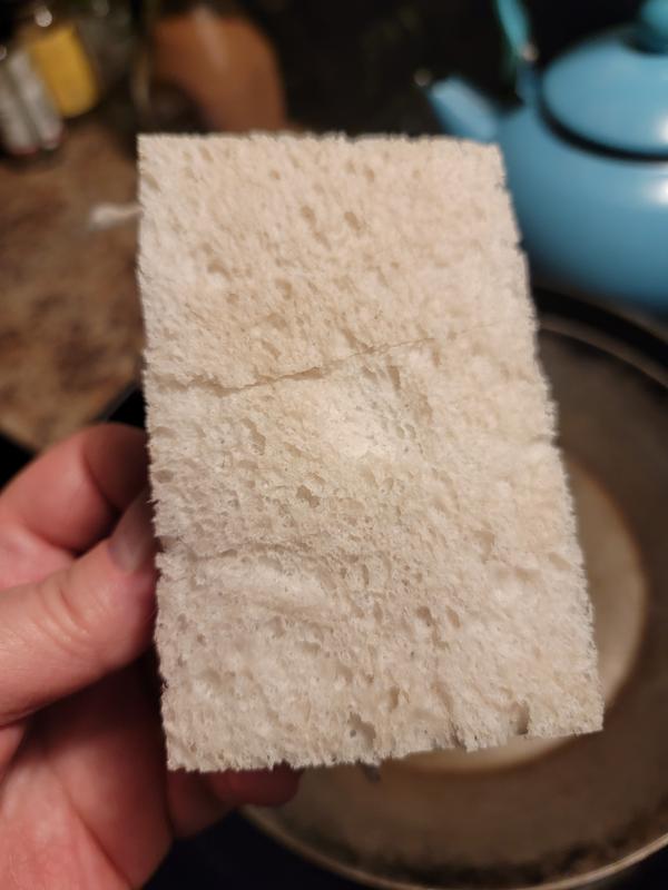 Two-sided Scrub Sponges - Plant-based Material – Originature