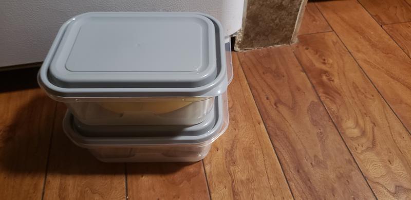 Large rectangle 8 cup 2 pk