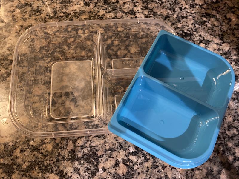 Good Cook EveryWare Bento Box Containers + Lids - Shop Food