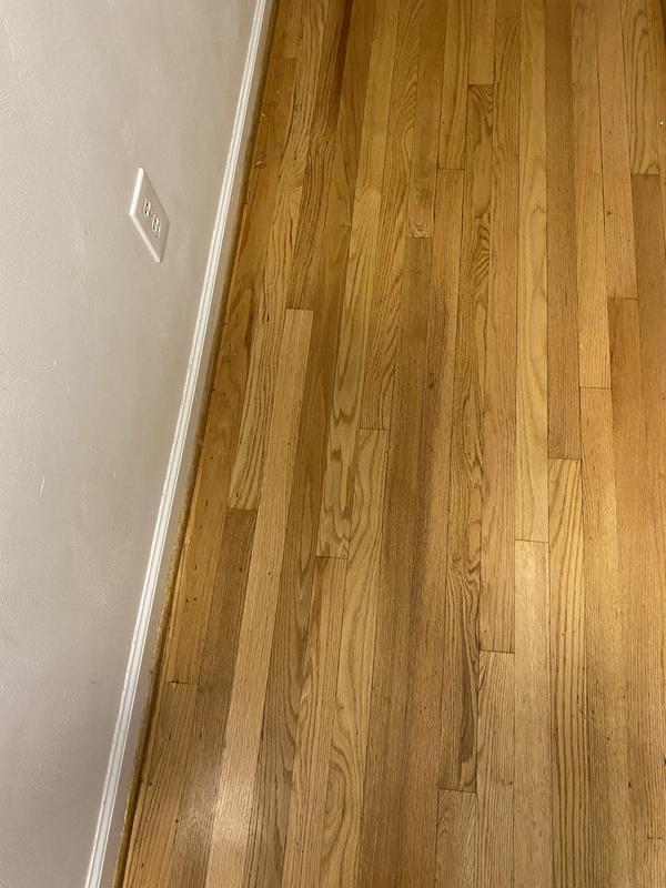 Casabella Infuse Hardwood floor Mop