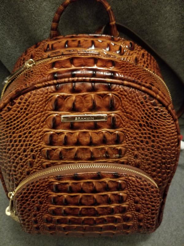 Brahmin Mini Dartmouth Melbourne Embossed Leather Backpack  display picture 2