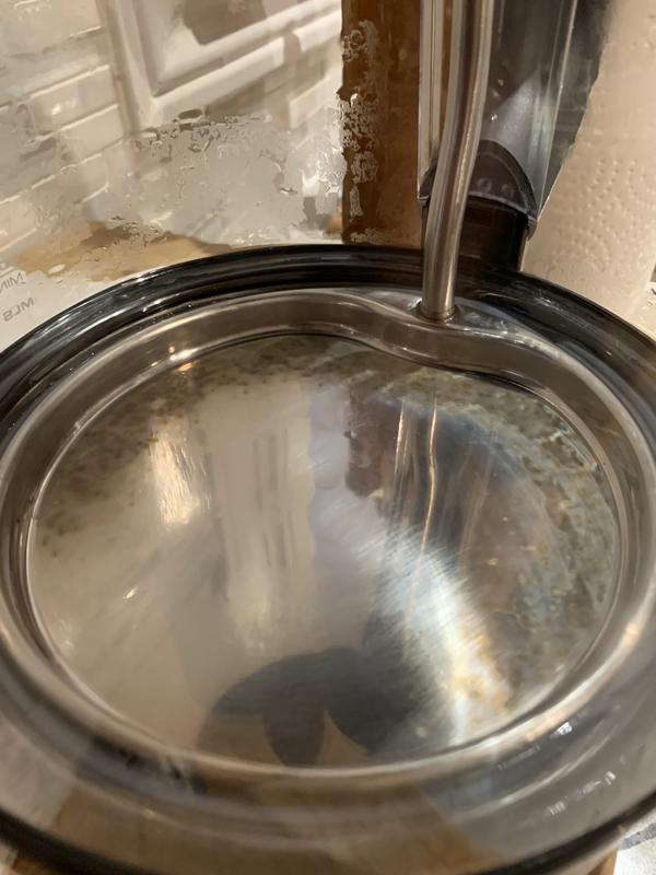 Customer photo 1 of 2. Click to open full size image.