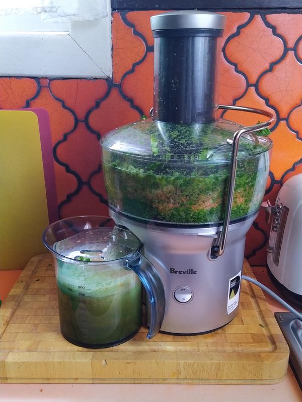 Breville, Juice Fountain Cold | Zola