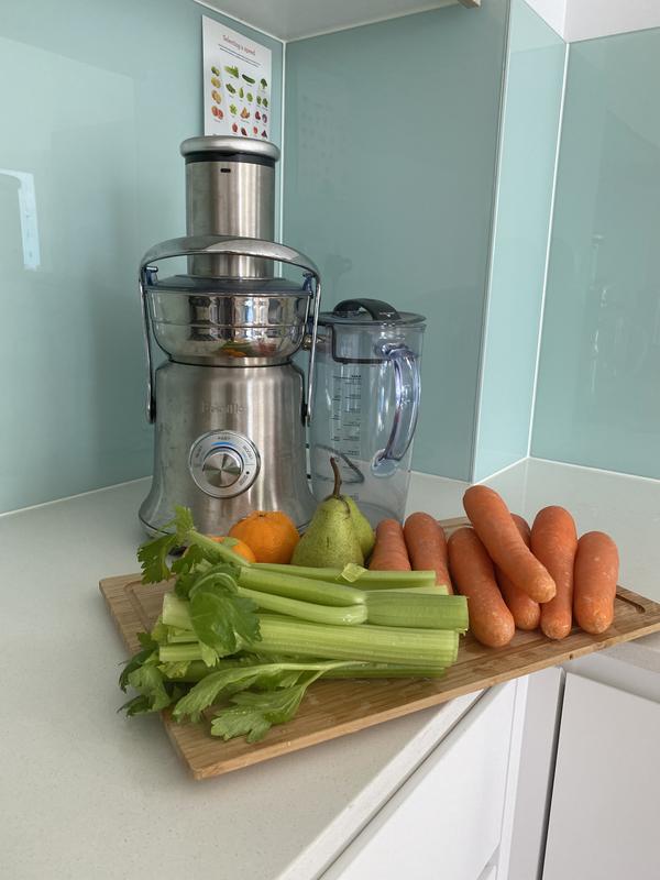 Macys breville juicer best sale