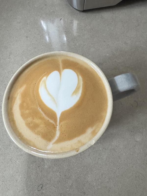 BES870XL The Barista Express Espresso Maker