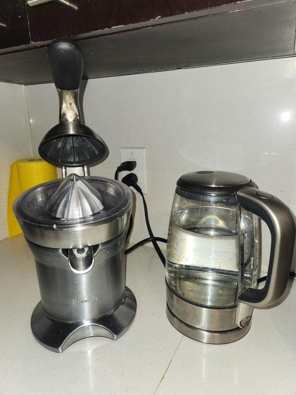 Breville Stainless Steel Electric Citrus Juicer Press + Reviews