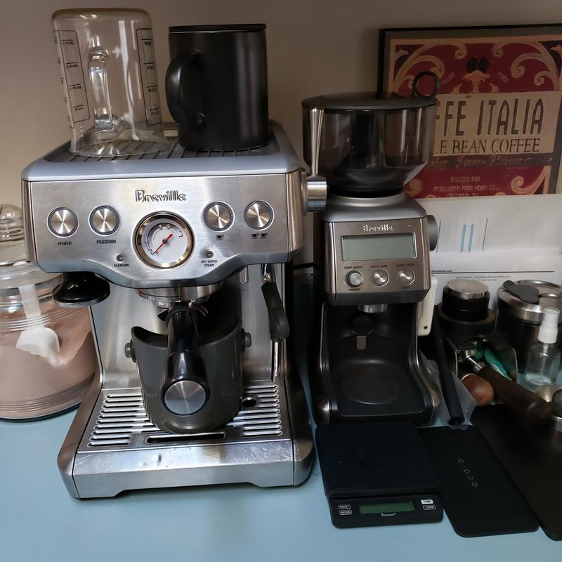 Breville, Bambino Plus Espresso Machine - Zola