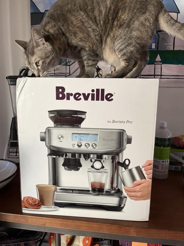 Breville, Bambino Plus Espresso Machine - Zola