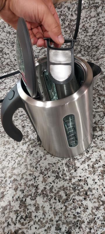 Removable scale filter