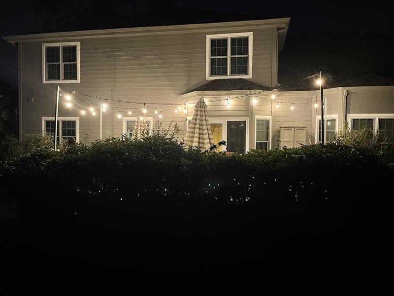 Great ambiance.