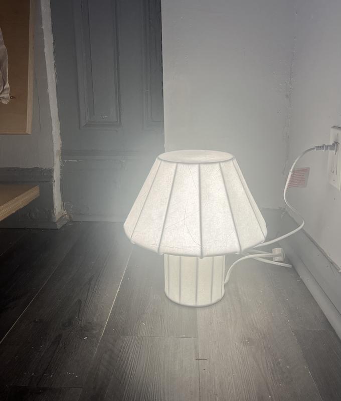 Customer carousel item 2.