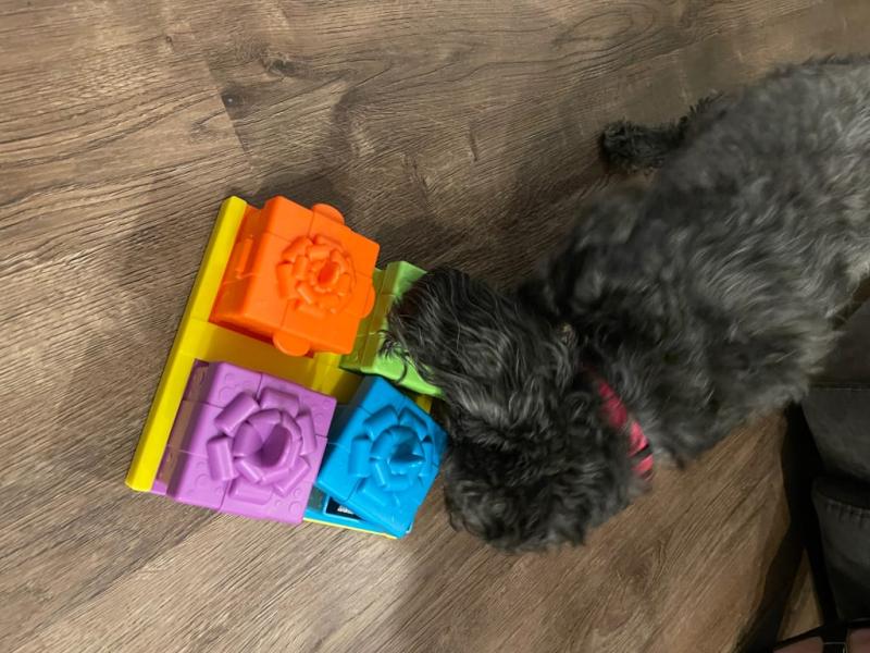 BRIGHTKINS Surprise Party! Puzzle Treat Dog Toy 