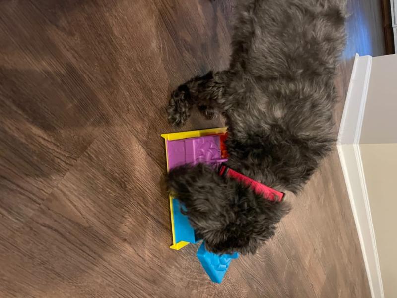 BRIGHTKINS Surprise Party! Puzzle Treat Dog Toy 