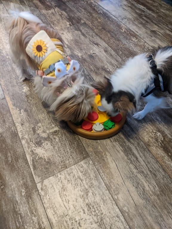 Stewie and Moe getting down to business..