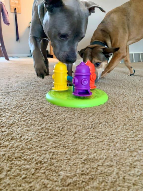 Brightkins Spinning Hydrants Treat Puzzle Dog Toy, Medium Petco