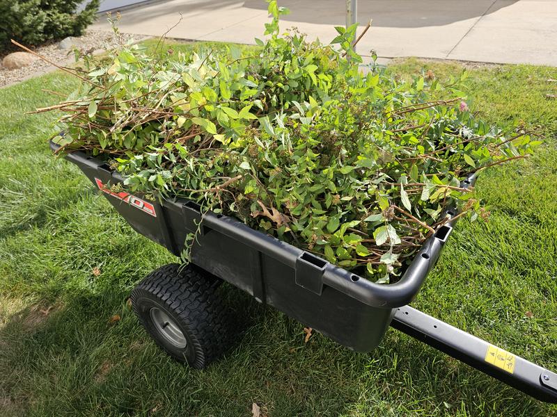 Good capacity! This is clippings from 3 large spirea bushes.