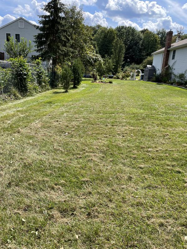 Lawn after 2 passes in different directions