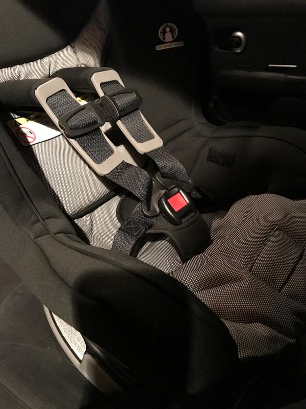 close up of padding and safety straps