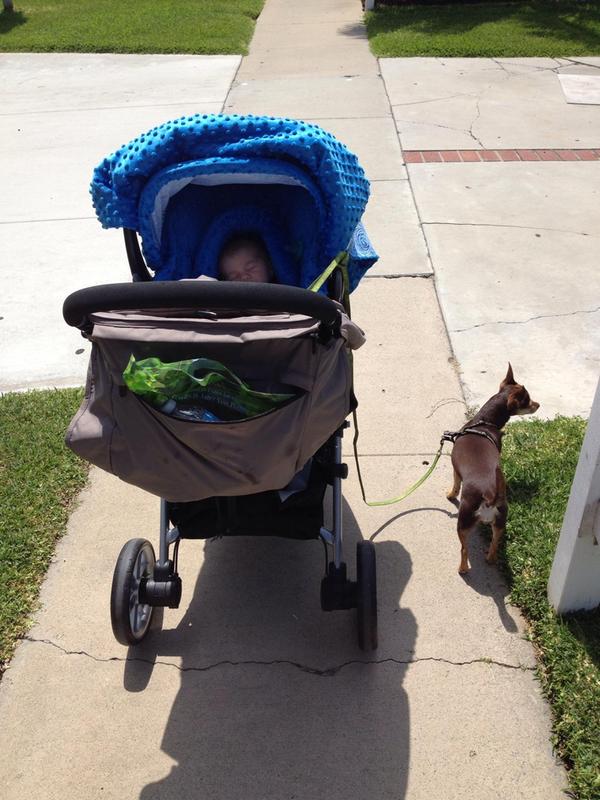 Britax B Safe travel system