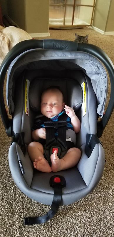 All strapped in, ready to go