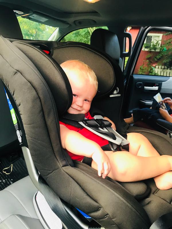 My 17 lb. baby loves it