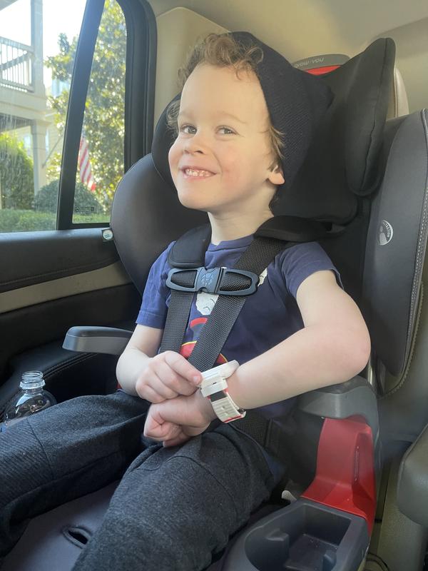 Picky one loves his new seat!