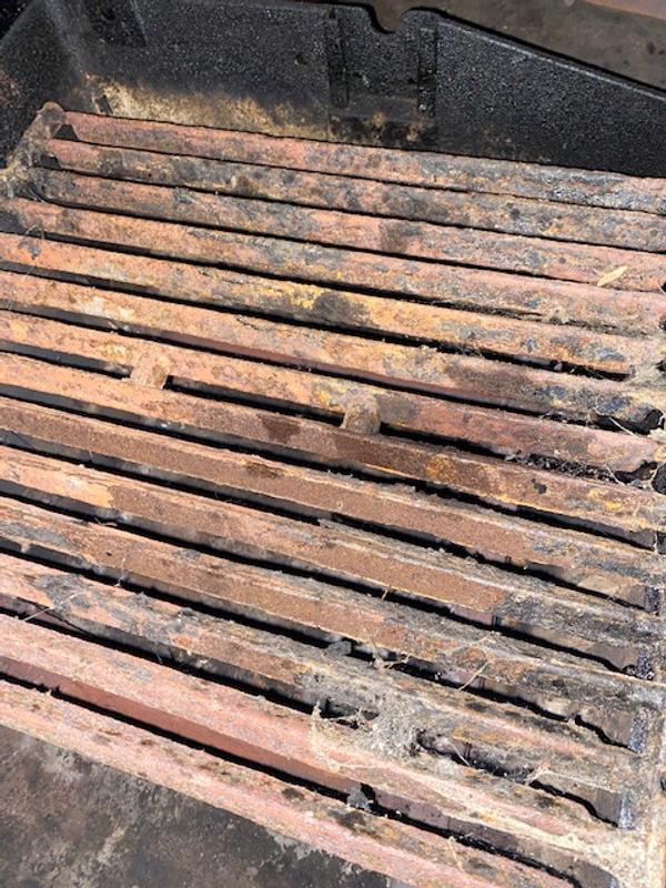 2nd set of grates (note the “porcelain” coating coming off)