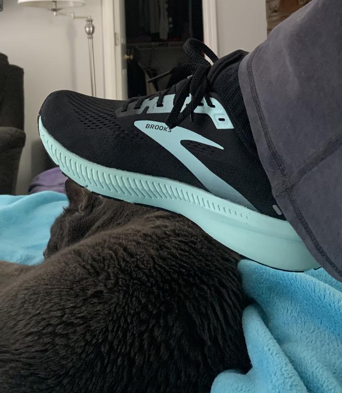 They go good with my gray cat, Tuna!