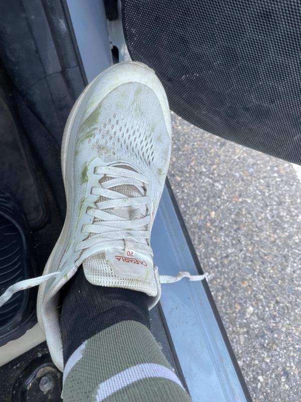 Customer photo for "Shoulda killed these not the catamount"