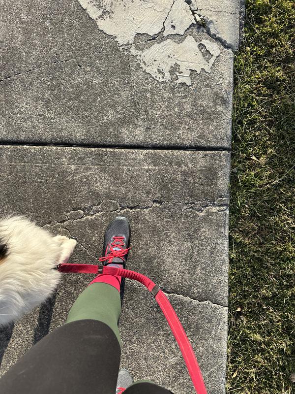 Great from the footpaths to roads to trails - and for walking the dog!