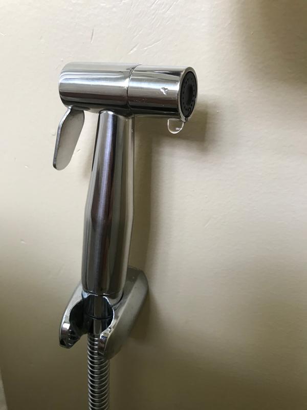 Brondell CleanSpa Luxury Handheld Bidet Bed Bath & Beyond