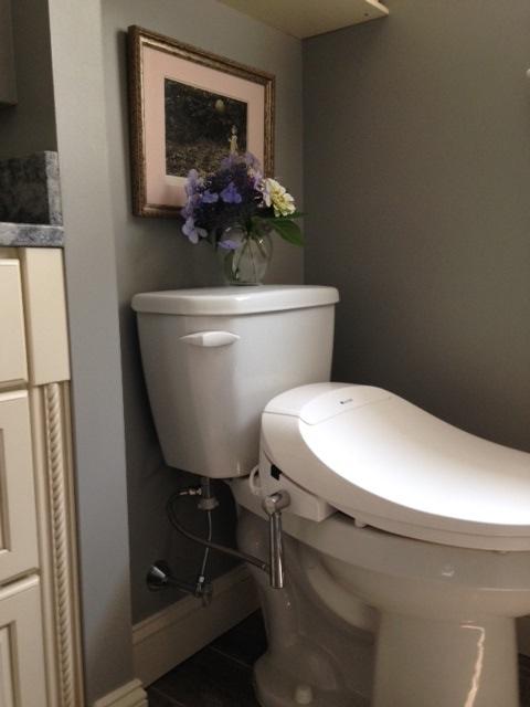 Brondell 300 with Chrome Bidet Hose Option