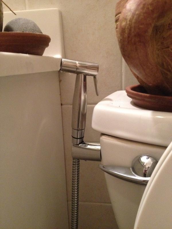 Brondell CleanSpa Luxury Handheld Bidet Bed Bath & Beyond