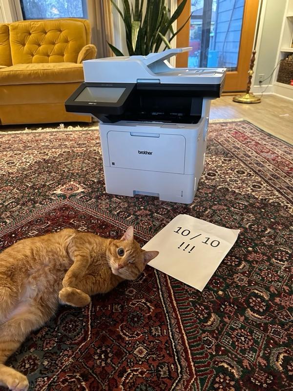 Customer carousel item 5.