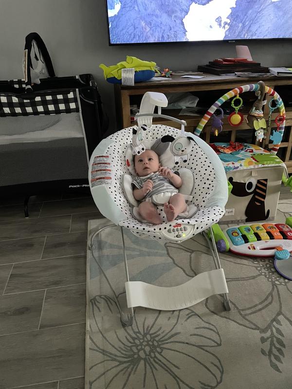Customer Reviews FisherPrice® Dots & Spots Puppy See & Soothe™ Deluxe Bouncer Bed Bath & Beyond