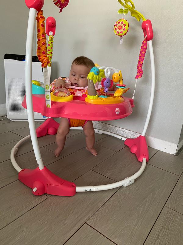 Fisher-Price Pink Petals Jumperoo