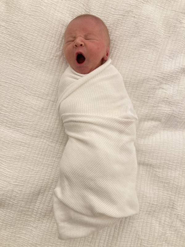 Burt's Bees Baby™ Organic Cotton Thermal Receiving Blanket buybuy BABY